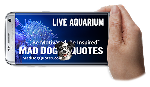 Watch, download or share our quote videos